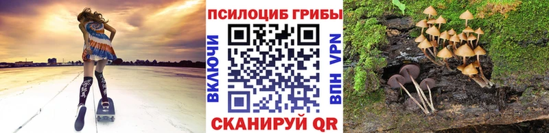 ссылка на мегу зеркало Элиста Псилоцибиновые грибы Magic Shrooms