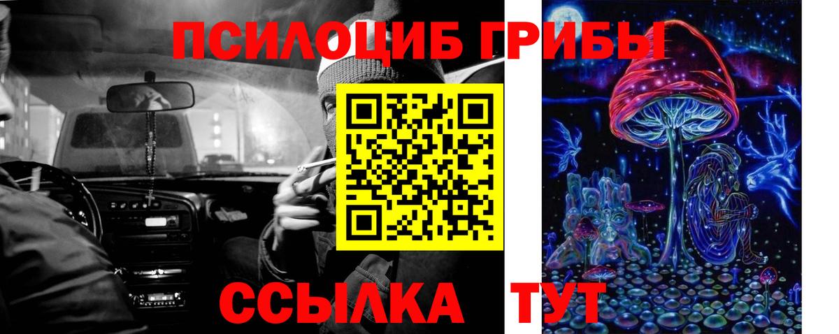 где купить наркоту  Псилоцибиновые грибы прущие грибы  Вход с VPN  Галлюциногенные грибы прущие грибы  Элиста 